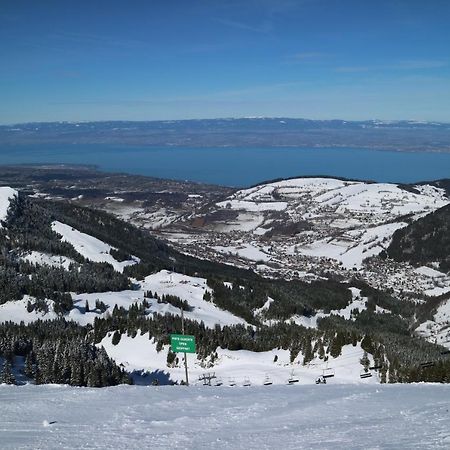 Appartement T2 A Bernex Avec Wifi, Vue Sur Montagne Luaran gambar